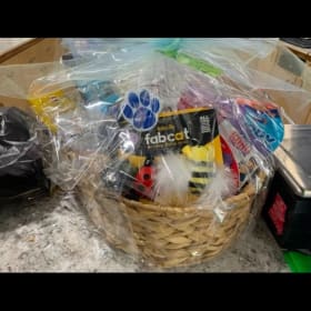 Cat Basket item