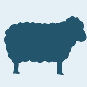 Whole Sheep item