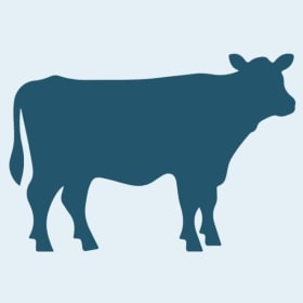 Whole Cow item