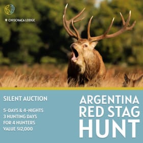 Argentina Big Game Hunt - Estancia Chischaca item