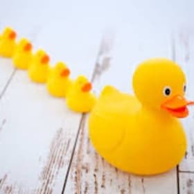 Duckling Sponsor item