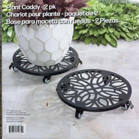 #17-Pope's Succulent, Gift Card and 2 Rolling Plant Caddies item