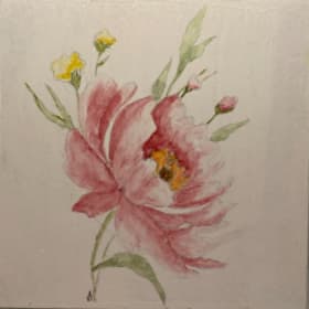 A 16: Pink Peony item