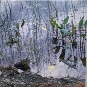 A 44: Frog in Pond item