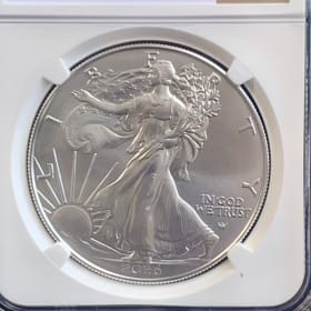 2026 American Silver Eagle #1 - Value $100 item