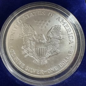 1999 Painted American Silver Eagle - Value $88 item