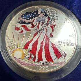 1999 Painted American Silver Eagle - Value $88 item