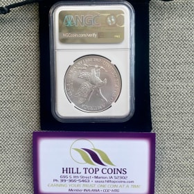 2026 American Silver Eagle #1 - Value $100 item