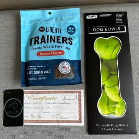 Good Dog - Tennis Balls - Value $91 item