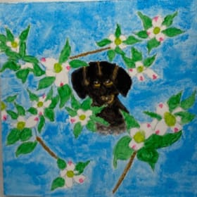 A 50: Dogwood item
