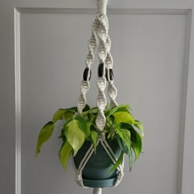 Macrame Plant Hanger and Plant item