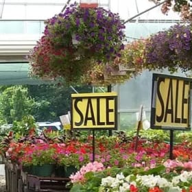 $20 Meadows Farm Gift Card item