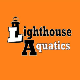 Lighthouse Aquatics Program: Free Swimmer Aug-Sep 2026 item