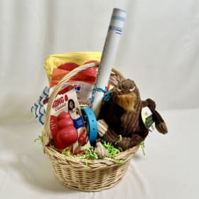 Village Vets Certificate & Toy Basket (#136) item