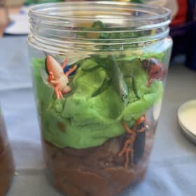 Crawly Critters Sensory Jar item