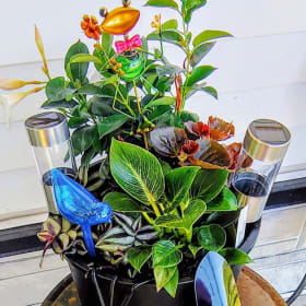 Mixed Planter Arrangement item