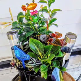 Mixed Planter Arrangement - 5 Tickets for $20 item
