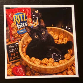 Bowl O Ritz - Frankie Magnet International Postage item