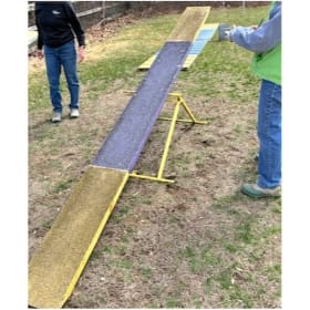 Seesaw - M.A.D. item