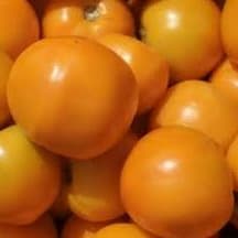Peach Yellow Tomato item