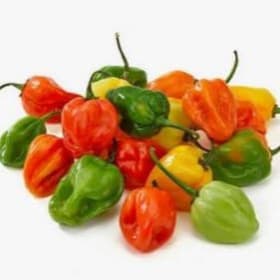 Habanero Red Pepper item