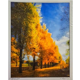 Roy Engelbrecht "Pittsburgh Gold" - Gingko trees along the item