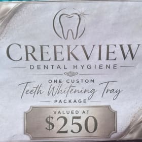 Teeth Whitening Package item