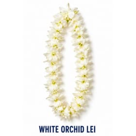 White Orchid Leis item