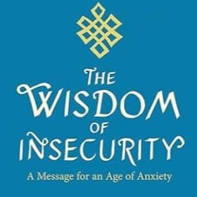 The Wisdom of Insecurity item