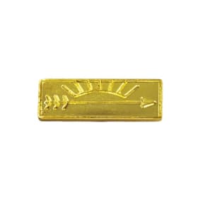 AOL Parent Pin item