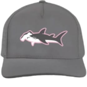 Hammered it 5-Panel Original Snapback item