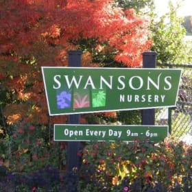 $250 Gift Certificate to Swanson's Nursery item