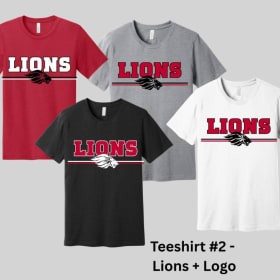 Tee Shirt item