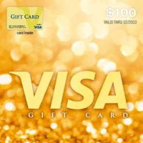 $100 Visa Gift Card item