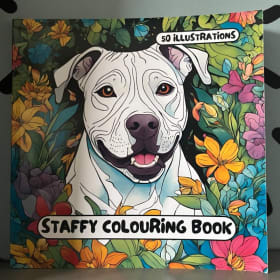 Staffy colouring book item