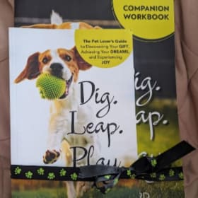 Dig. Leap. Play. Book + Companion Workbook Copy #1 item