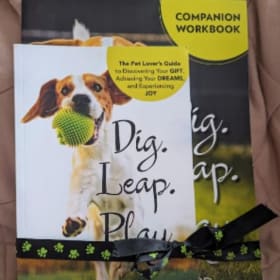 Dig. Leap. Play. Book + Companion Workbook Copy #2 item