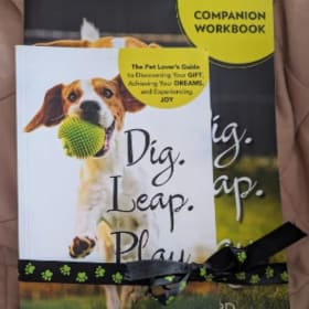 Dig. Leap. Play. Book + Companion Workbook Copy #3 item