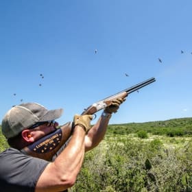 Argentina Dove Hunt for 4 Hunters/4 Nights item