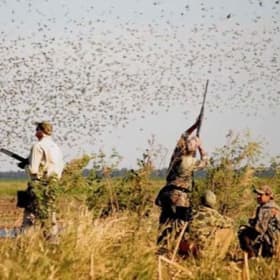 Argentina Mixed Bag Hunt for 4 People/5Nights item