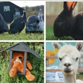 DAYS OUT: Church Farm Family Farm Day Pass (5 people) item