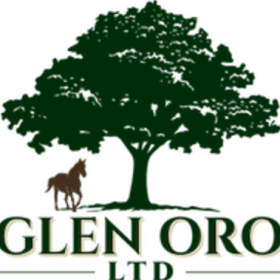 🌲 Glen Oro Eco-Retreat – 2-Night Glamping Escape 🌲 item
