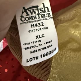 AWCT “Gift For You” Holiday Dance Costume – XLC item