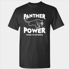 Panther Power item
