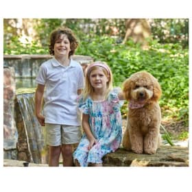 11" X 14" Family/Pet Portrait Package item