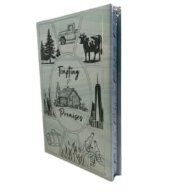 Tempting Promises item