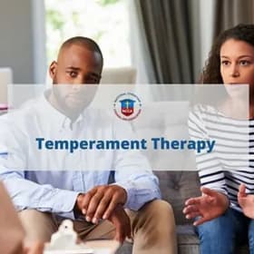 Phase 1, Course 4: Temperament Therapy item