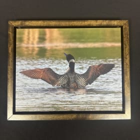 37 - Loon Photo Print item