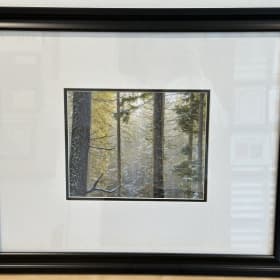 Framed Picture by Sandy Moss, Nature & Wildlife Photographer item