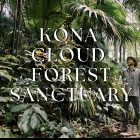 Kona Cloud Forest 2.5 hour guided tour for 2 item